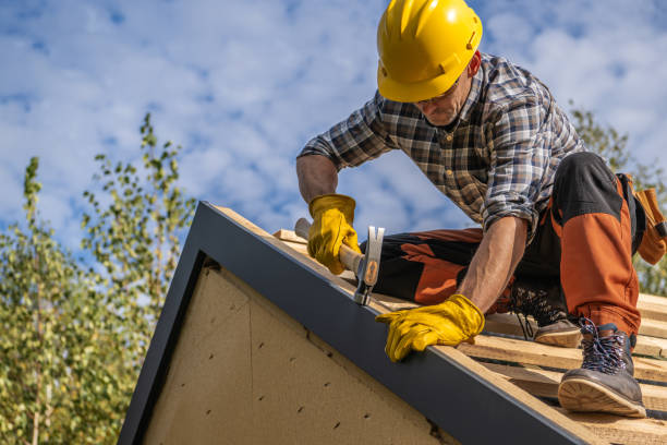 Best Skylight Installation and Repair  in Friendswood, TX